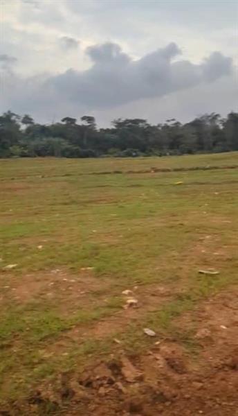 Terrain À Yaoundé Tsinga Village Royal business center