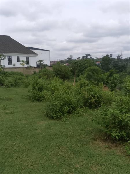 Terrain À Vendre À Yaounde 