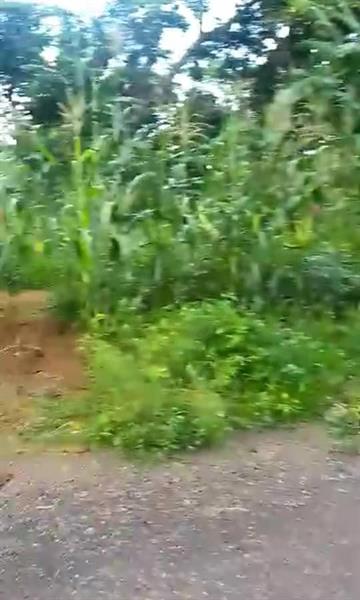 Terrain Commercial À Binguela Royal business center