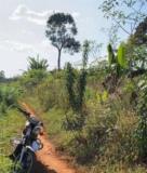 Terrains À Vendre À Bafang,, Bafang, Immobilier au Cameroun