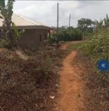 Terrains À Vendre À Bafang,, Bafang, Immobilier au Cameroun
