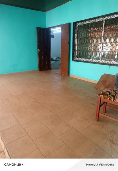 Immeuble À L Omnisports Royal business center