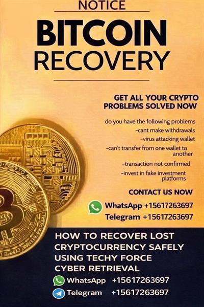 How To Recover Lost Cryptocurrency Safely Using Techy Force Cyber Retrieval 