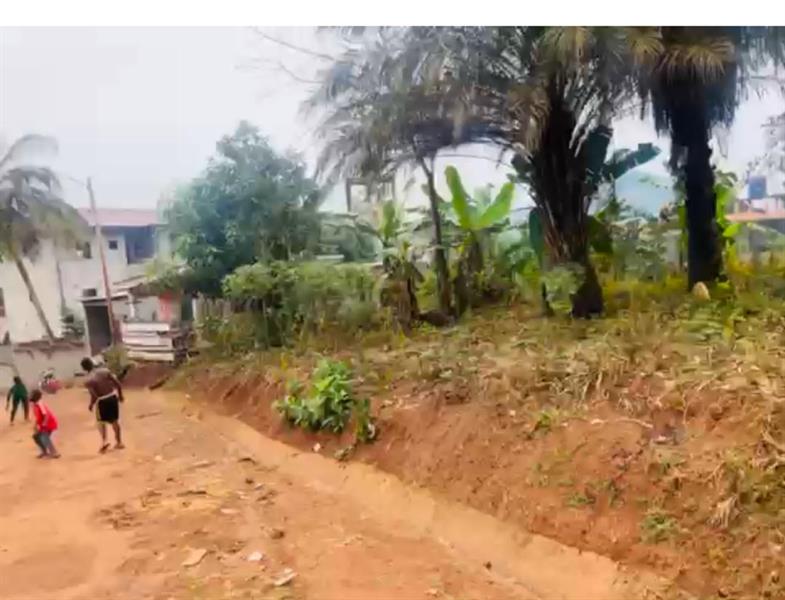 Terrain À Vendre A Yaoundé Mendong 
