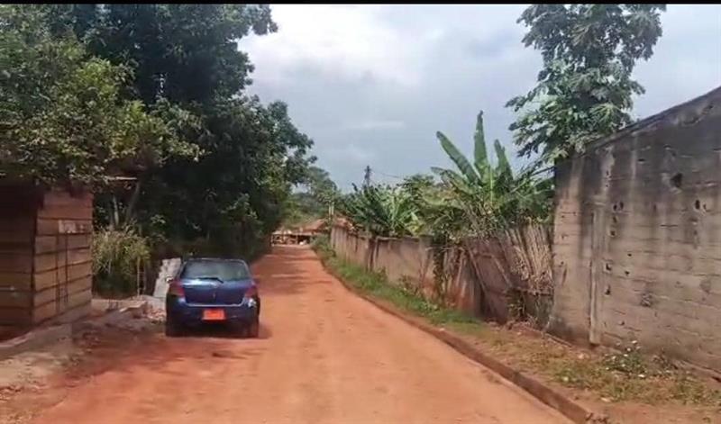 Terrain Titré En Vente Nsimalen Royal business center