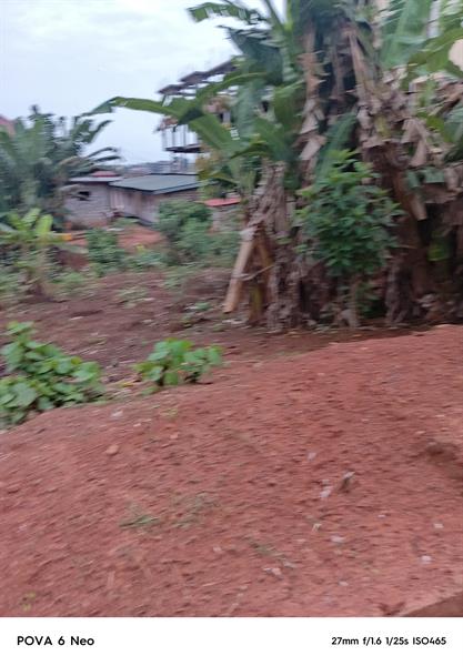 Terrain À Vendre Odza Happy Royal business center