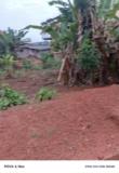 Terrain À Vendre Odza Happy,, Yaoundé, Immobilier au Cameroun