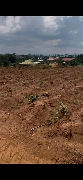 Terrain À Vendre À Elat Royal business center