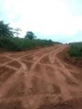Terrain À Vendre À Elat,, Yaoundé, Immobilier au Cameroun