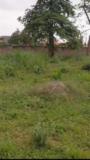 Immeuble En Liquidation À Tropicana,, Yaoundé, Immobilier au Cameroun