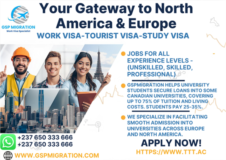 Emplois Non Qualifiés Et Qualifiés En Amerique Du Nord Et En Europe,, Yaoundé, Cameroon Real Estate