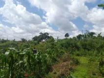 Terrain Titré À Vendre À Awae,, Yaoundé, Immobilier au Cameroun