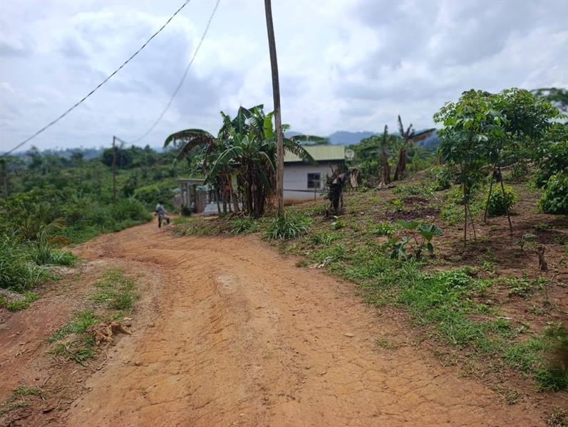 Terrain Titré À Vendre À Ngousso J &  J CORPORATION