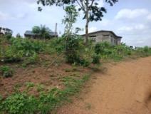 Terrain Titré À Vendre À Ngousso,, Yaoundé, Immobilier au Cameroun