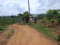 Terrain Titré À Vendre À Ngousso,, Yaoundé, Immobilier au Cameroun