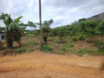 Terrain Titré À Vendre À Ngousso,, Yaoundé, Immobilier au Cameroun