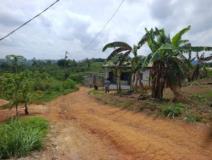 Terrain Titré À Vendre À Ngousso,, Yaoundé, Immobilier au Cameroun