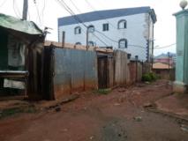 Terrain Titré À Tsinga,, Yaoundé, Immobilier au Cameroun