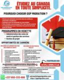 Emplois No Qualifié Et Nonqualifié En Amérique Du Nord Et En Europe,, Yaoundé, Immobilier au Cameroun