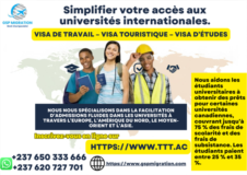 Emplois No Qualifié Et Nonqualifié En Amérique Du Nord Et En Europe,, Yaoundé, Immobilier au Cameroun