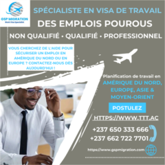 Emplois No Qualifié Et Nonqualifié En Amérique Du Nord Et En Europe,, Yaoundé, Immobilier au Cameroun