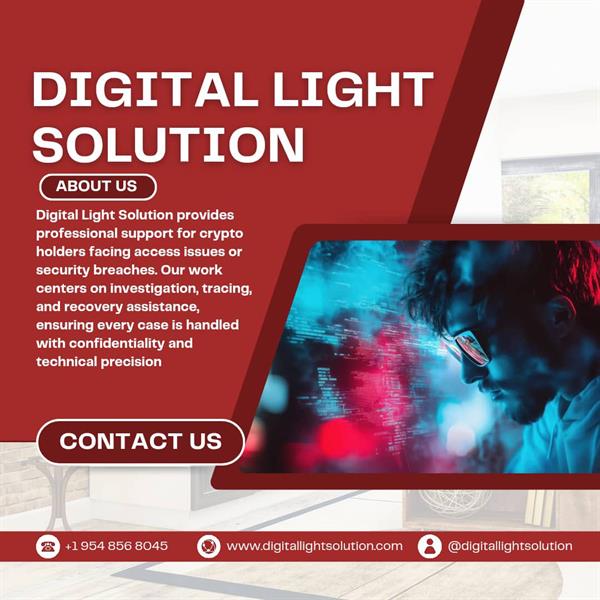 Hire Digital Light Solution For Stoly Crypto And Digital Assets 
