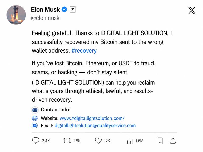 Hire Digital Light Solution For All Hacking Service  2026 