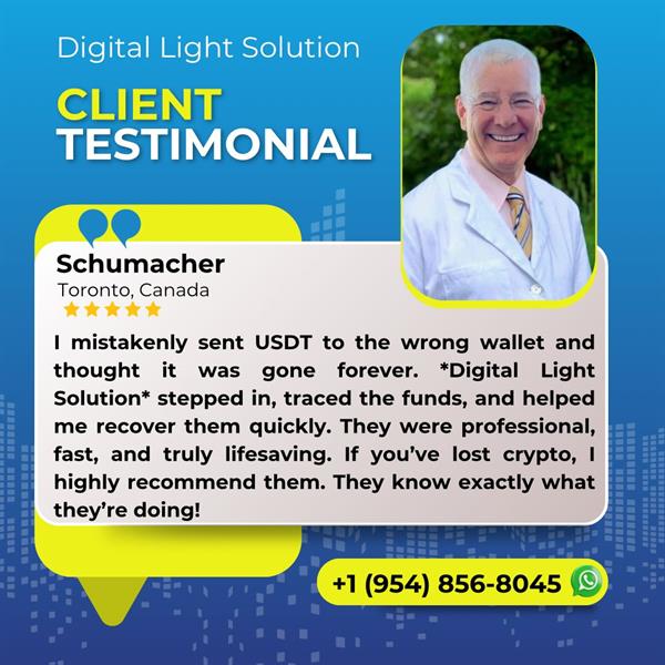How To Recover Your Lost Funds With The Help Of Digital Light Solution 