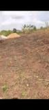 Terrain Titré À Vendre,, Yaoundé, Cameroon Real Estate