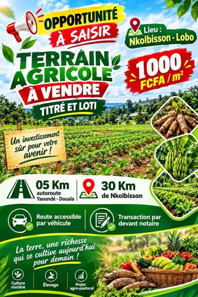 Terrain Agricole 