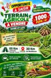 Terrain Agricole,, Yaoundé, Immobilier au Cameroun