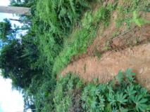 Terrain Agricole,, Yaoundé, Immobilier au Cameroun