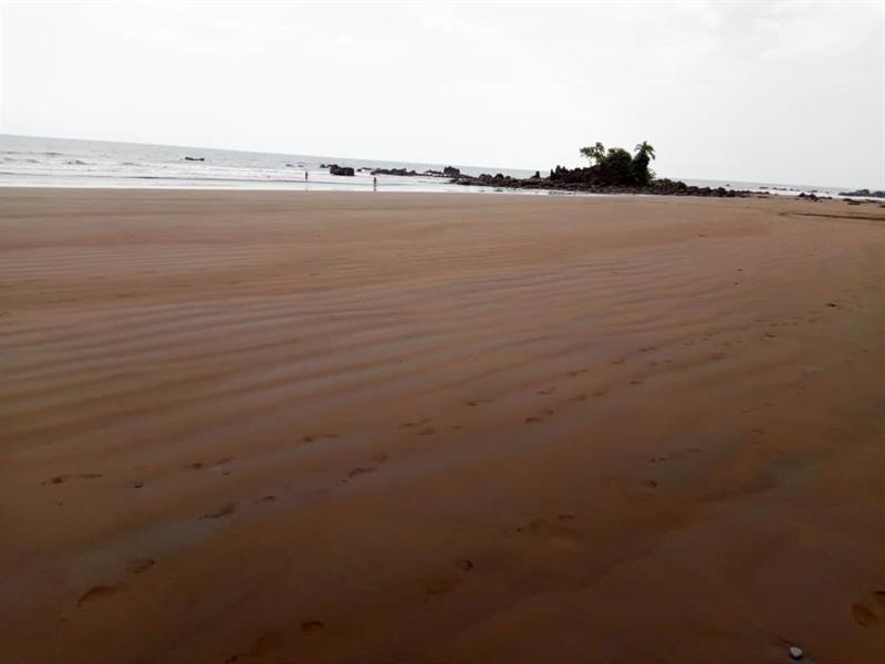 Vente Terrain de Plage 5000m2 Titre a Limbe MICHAEL REAL ESTATES AGENCY 